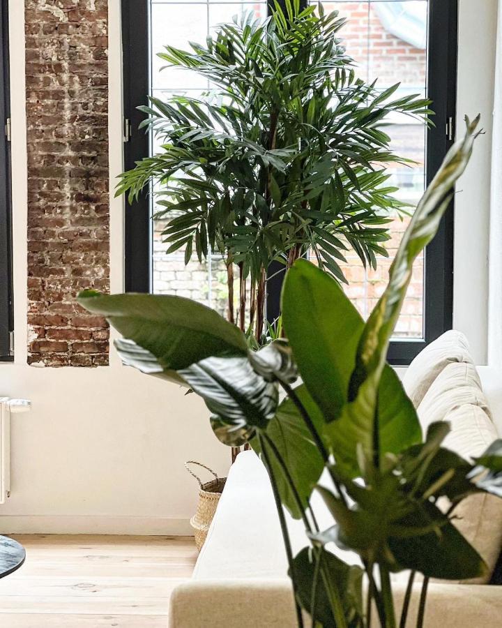 Gigi Home'S Antwerpen Buitenkant foto